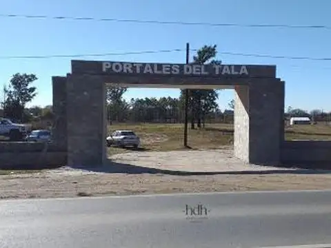 Lote 119 - Maz C