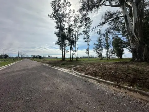 Terreno en Venta en Monte Grande, $ 7.000.000