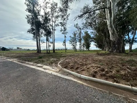 Mercedes Y Las Orquideas, Monte Grande