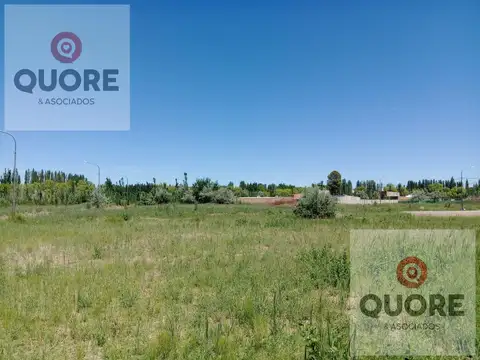 Terreno en Venta de 875,0 m2