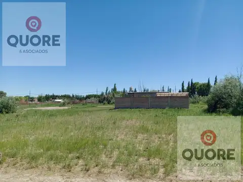 Terreno en Venta en Cinco Saltos, $ 20.000.000