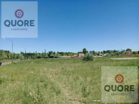 Terreno en Venta 35  mts Fondo