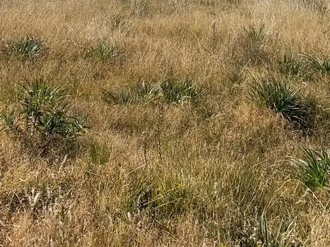 Terreno en Venta de 5936,39 m2