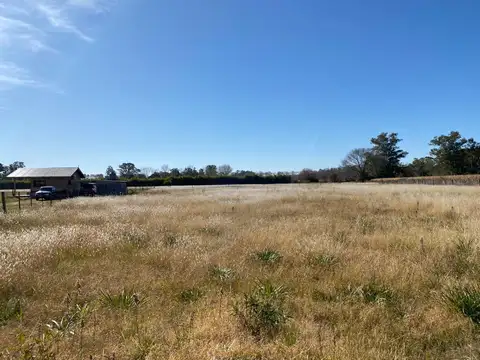 Terreno en Venta de 5936,39 m2