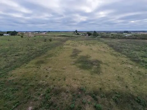 Campo de 2.5 HA en Venta Col San Antonio Goya Ctes
