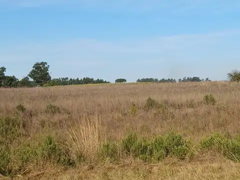 Campo de 2.5 HA en Venta Col San Antonio Goya Ctes