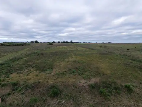 Campo de 2.5 HA en Venta Col San Antonio Goya Ctes