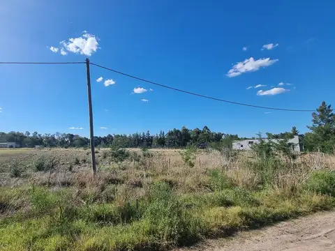 Terreno en Venta en Abasto, USD 49.000