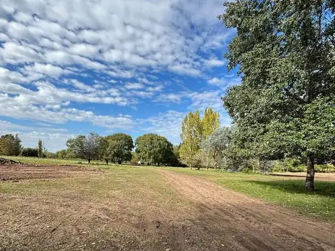 Terreno en Venta de 1038,0 m2