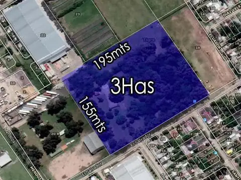 FRACCION 30.000m ² BENAVIDEZ.