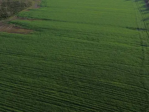 Campo en Venta de 25  ha