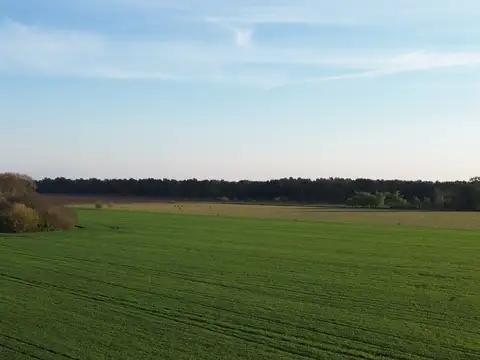 Baradero