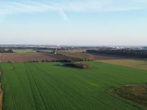 Baradero