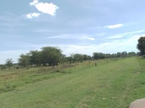 Terreno en Venta de 14791,0 m2