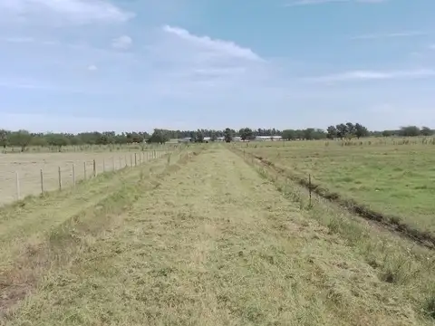 Terreno en Venta de 14791,0 m2