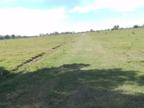 Terreno en Venta en Mercedes, USD 49.900