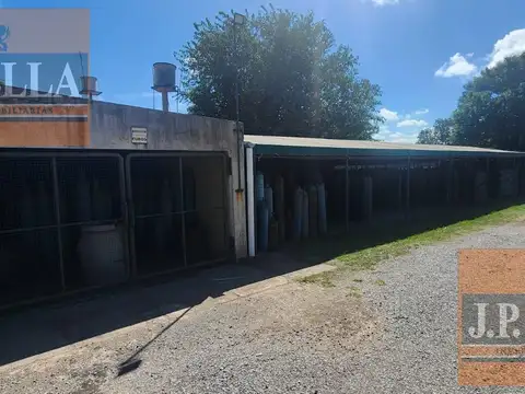 Del Tejar al 5200