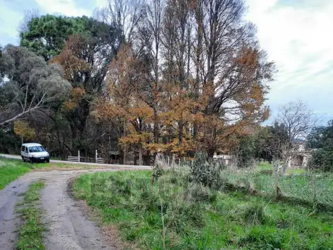 Laguna la brava , Piso 0