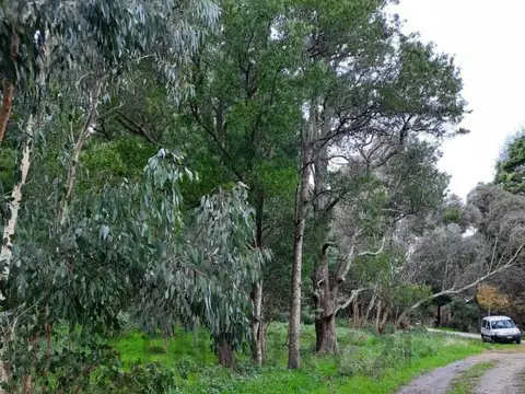 Terreno en Venta en Laguna Brava, USD 35.000