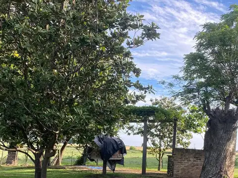 Campo en  Ramallo 48has