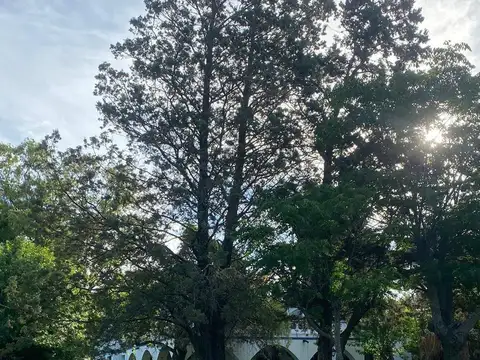 48 hectareas, ramallo, provincia de buenos aires