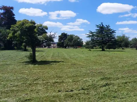 Campo en  Ramallo 48has