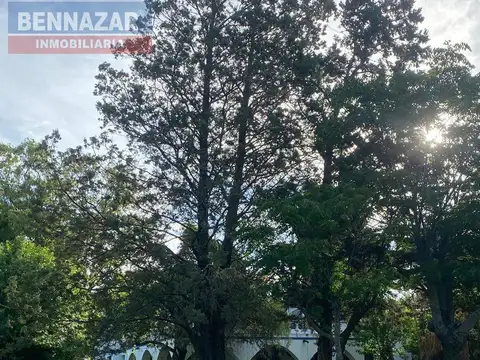48 hectareas, ramallo, provincia de buenos aires