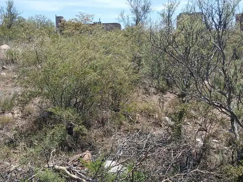 Terreno en Venta de 2000,0 m2