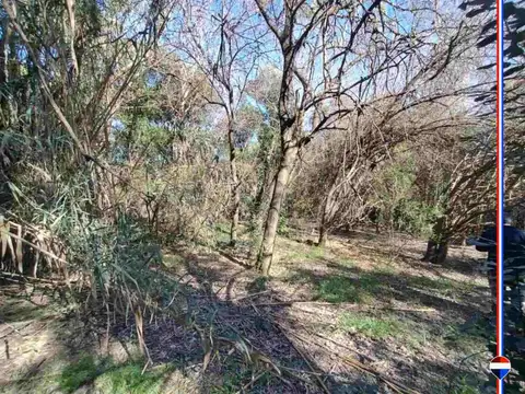 Terreno en Venta de 5955,0 m2