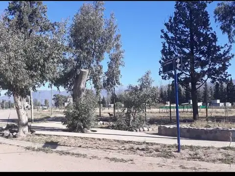 Terreno en Venta de 2000,0 m2