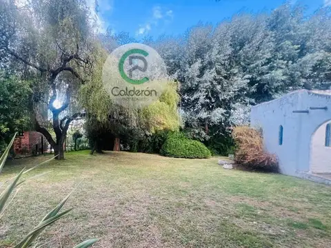 Almafuerte 3900