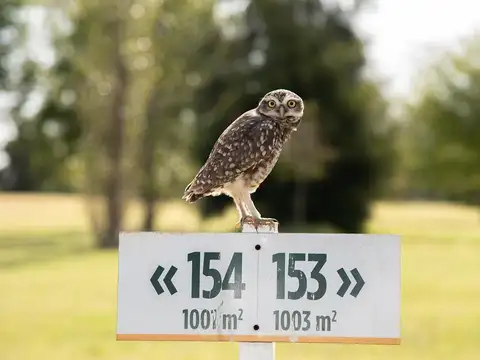 Terreno de 1000 mts2- Estancia La Rinconada