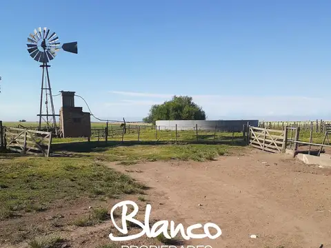 Campo  en Venta en La Vitícola, Bahia Blanca, Resto de la Provincia
