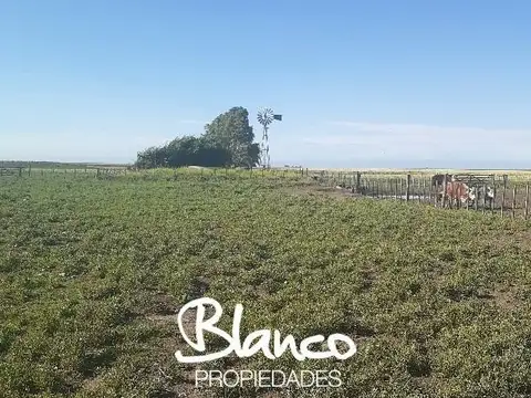 Campo  en Venta en La Vitícola, Bahia Blanca, Resto de la Provincia