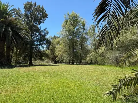 Terreno en Venta 63  mts Fondo