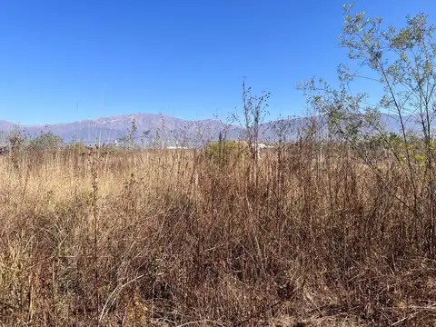 Terreno en Venta de 595,0 m2