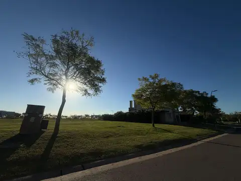 Avenida de los Lagos