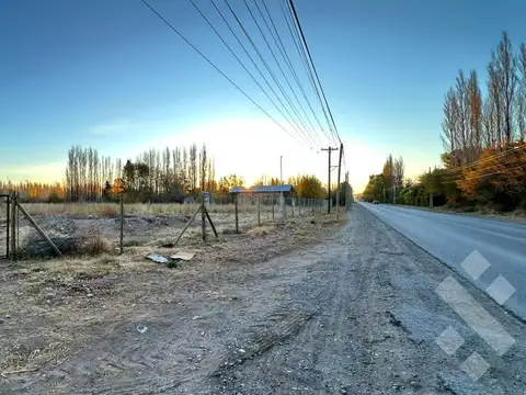 Venta terreno 3 HA - Calle Río Colorado - Plottier - Neuquén