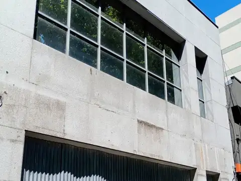 Montiel 100