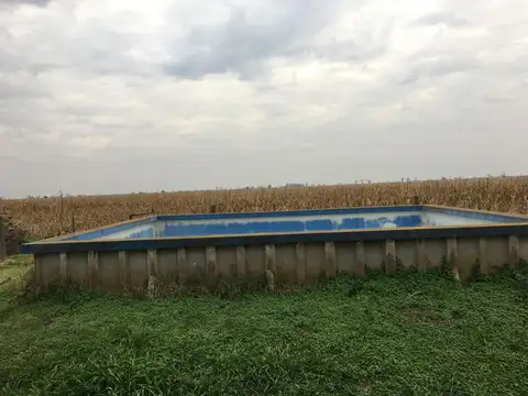 Campo - Pilar