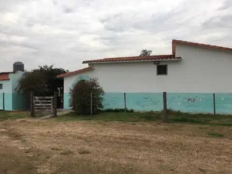 Campo - Pilar