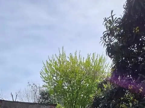 Lote En Pedro de Mendoza y  mtros de Blasco Ibáñez