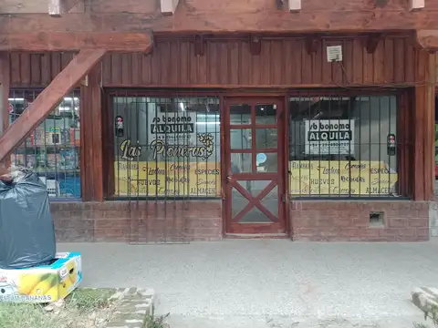 Local comercial en alquiler en Melipal