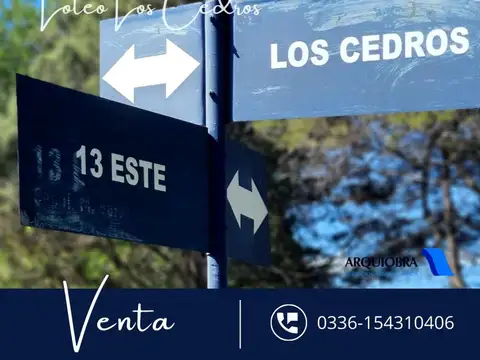 Los Cedros 500