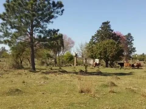 Terreno en Venta de 6120,0 m2