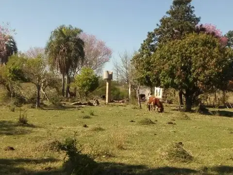 VENTA DE TERRENO EN ESQUINA, CORRIENTES 