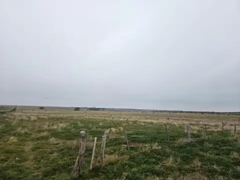 Campo en venta - 7.330.000Mts2 - San German