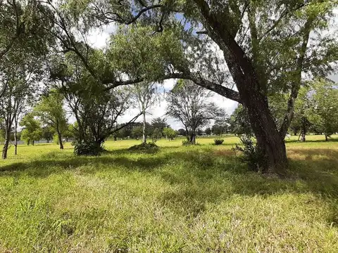 Terreno en Venta de 1133,0 m2