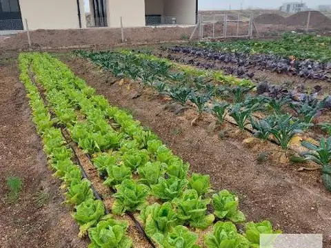 Terreno en Venta 37  mts Fondo