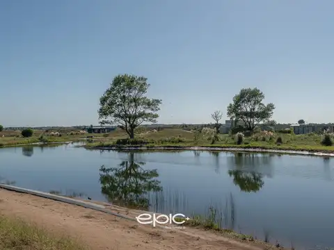 Lote en venta en El Salvaje